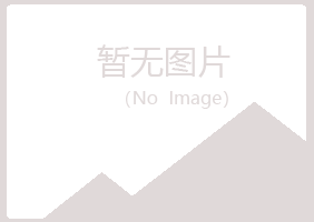 大理冰夏化学有限公司